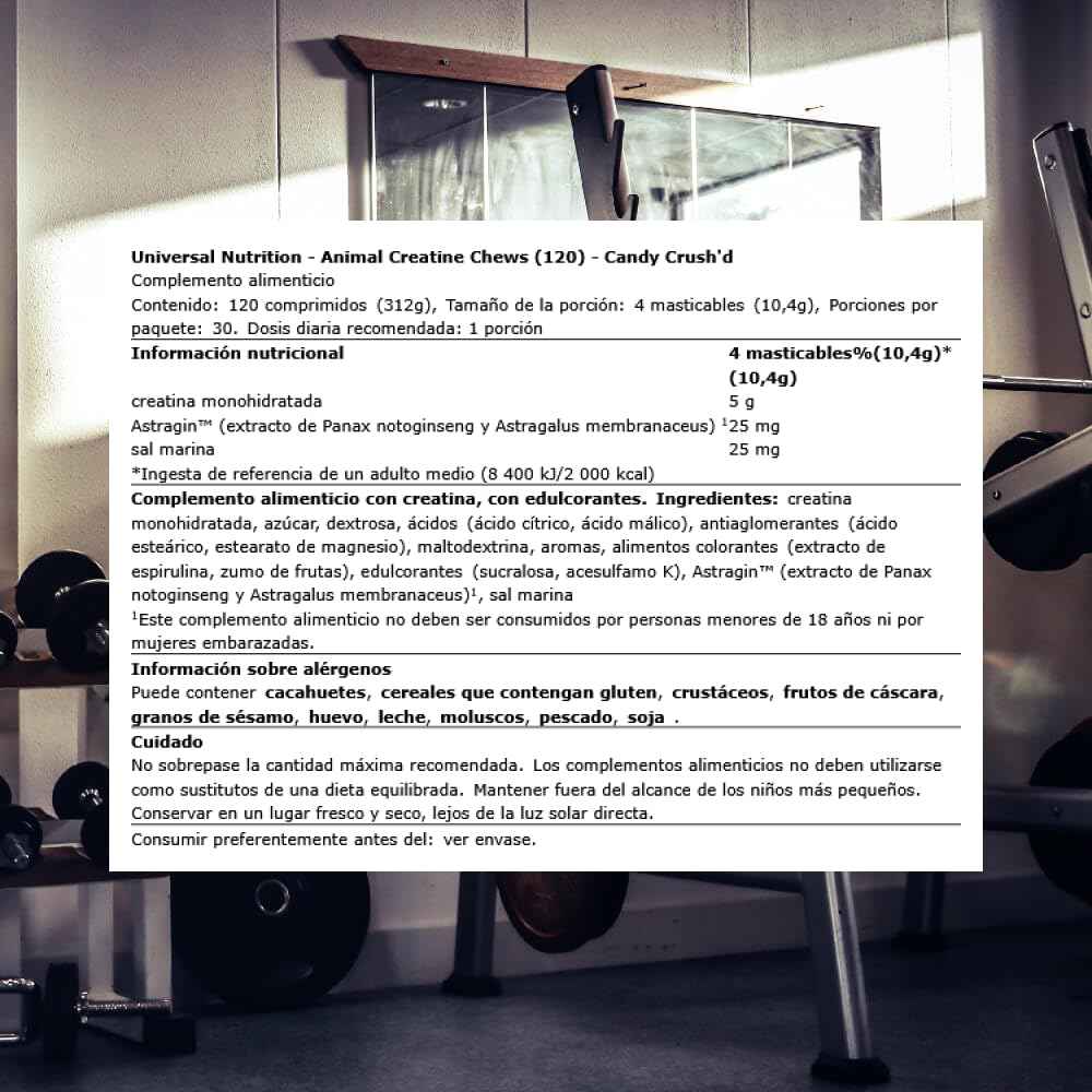 Animal persona tomando tabletas en gimnasio para conveniencia antes del entrenamiento