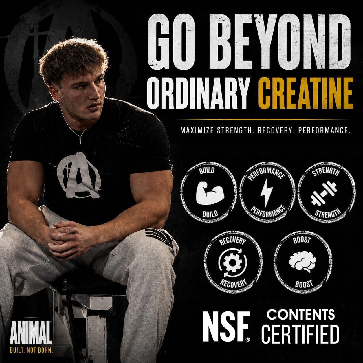 Animal creatine cucharada medidora con 5 g para dosis precisa