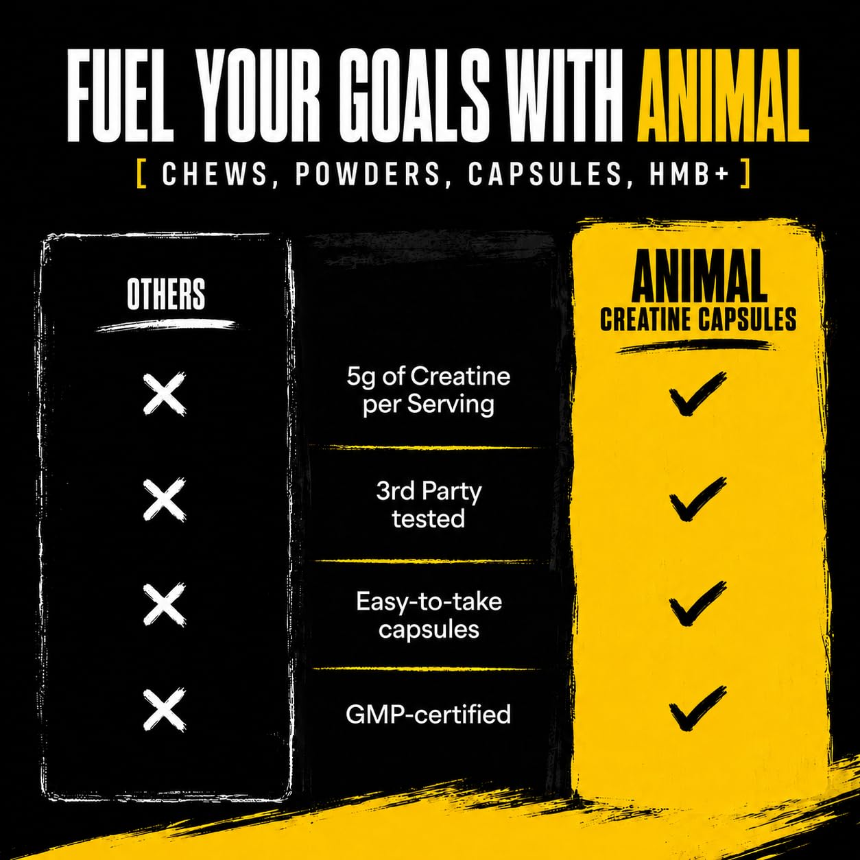 Animal cápsulas junto a equipo de gimnasio para uso pre y post entrenamiento
