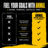 Animal cápsulas junto a equipo de gimnasio para uso pre y post entrenamiento