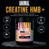 Polvo Animal Creatine HMB textura fina, mezcla rápida y suave