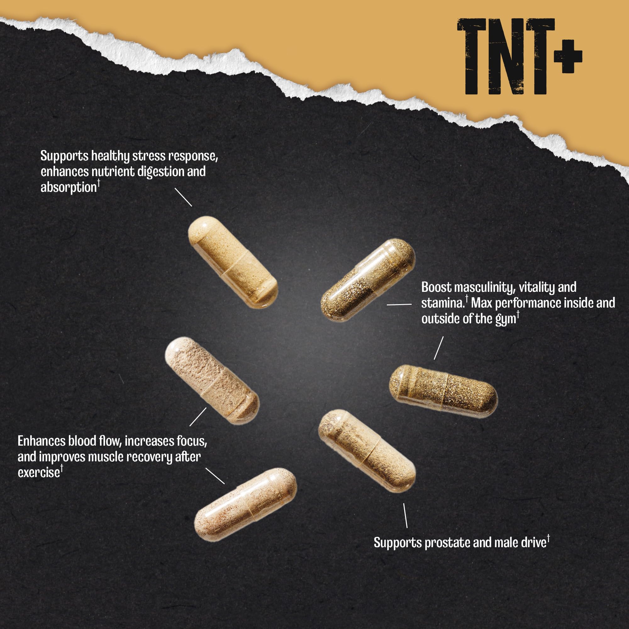 Animal TNT+ sobre abierto detalle del contenido para uso fácil