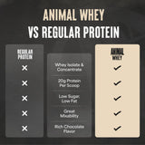 Animal proteína en uso tras entrenamiento en gimnasio para mejor recuperación