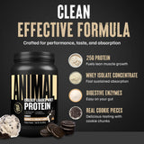 Animal Whey Isolate polvo y cucharón junto a regla para comparar tamaño y porciones