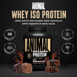 Textura en polvo de Animal Whey Isolate vista de cerca para mezcla sin grumos