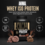 Animal whey isolate textura de polvo cercana, fácil de disolver