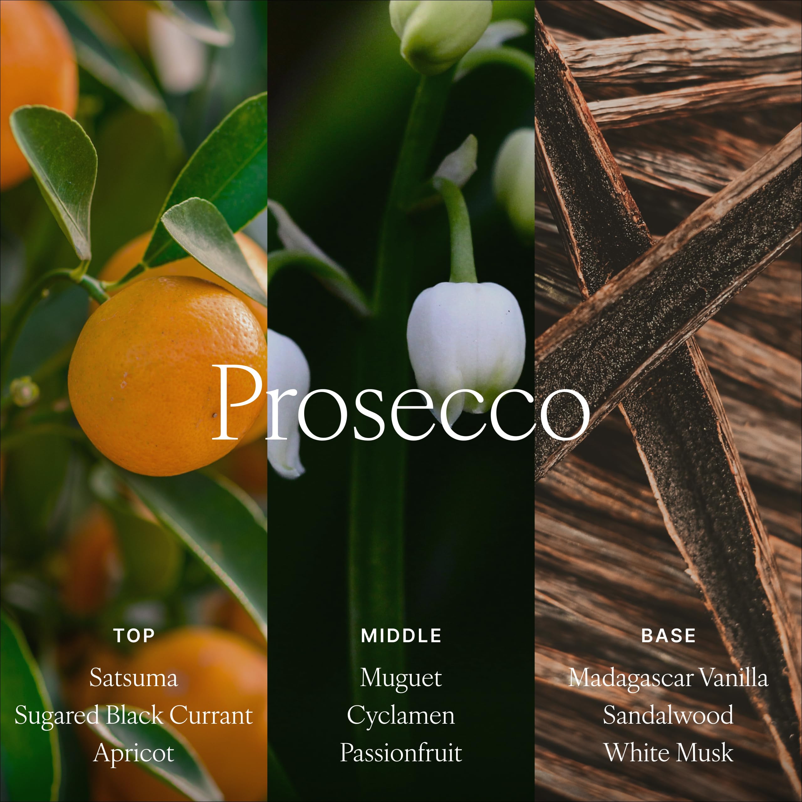 Antica Farmacista difusor Prosecco colocado en salón, ambienta y decora el espacio