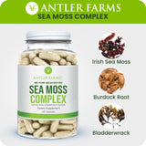 Antler Farms cápsulas junto a moneda para comparar tamaño real