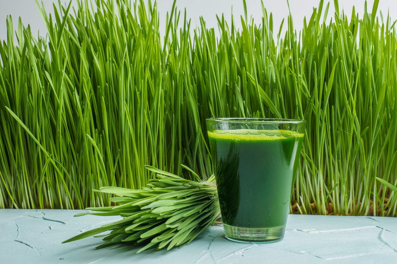 Antler Farms polvo disuelto en vaso verde fácil de incorporar a batidos
