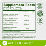 Antler Farms polvo de sea moss textura seca para ver calidad