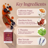 Apothékary ingredientes naturales en primer plano, mezcla botánica beneficiosa