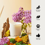 APOTHEKE vela en salón, aporta aroma sofisticado para reuniones