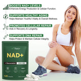 APU.FAIRY cápsulas en foco que ilustran la formulación liposomal