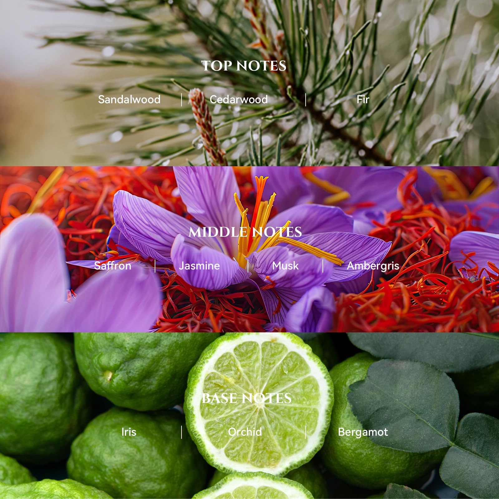 Aromadd etiqueta en detalle que indica notas aromáticas y confianza