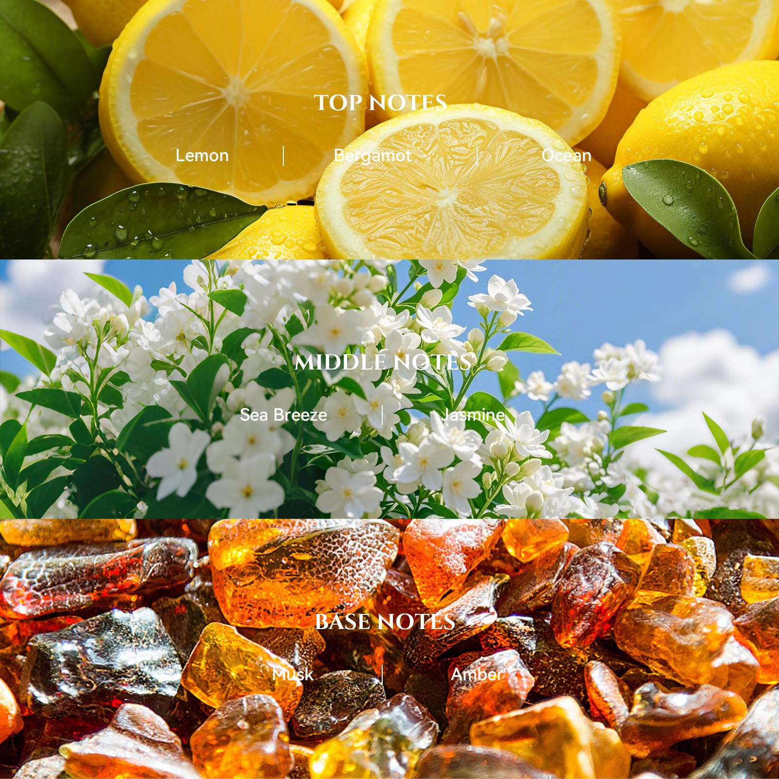 AROMADD etiqueta en primer plano con información de fragancia y calidad