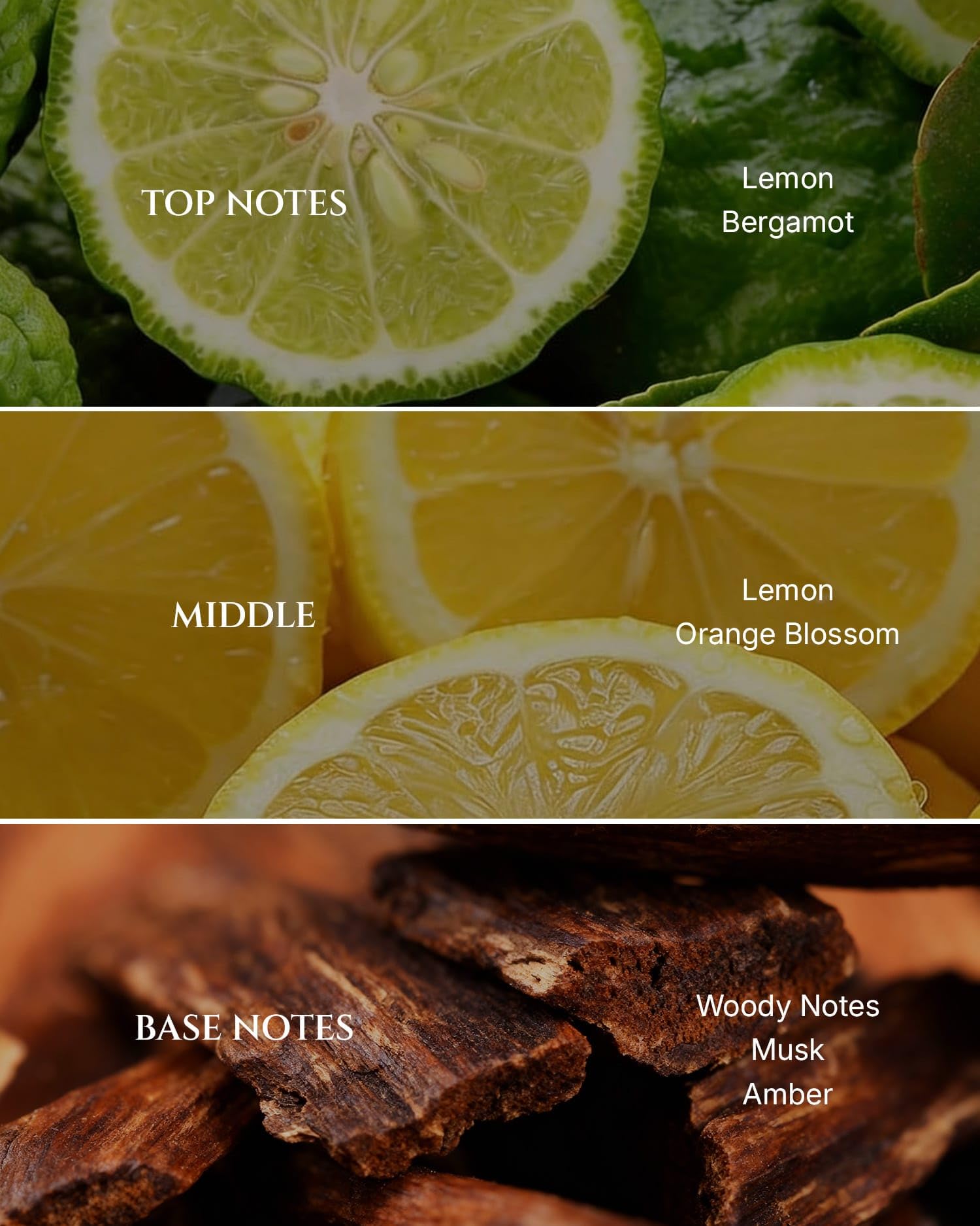 AROMADD detalle de textura del aceite Citrus resaltando pureza