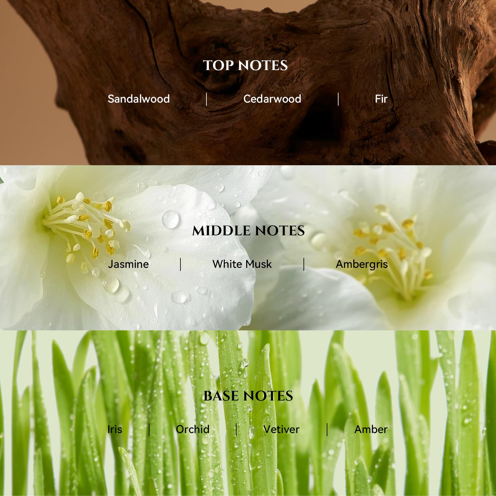 AROMADD etiqueta en primer plano destacando nombre y aroma premium