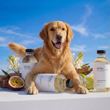 AROMASOUL uso en difusor sin agua My Way aroma constante