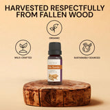 ArOmis aceite sobre fondo claro que muestra su textura ligera