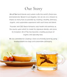 Art of Tea comparación de tamaño con mano que muestra portabilidad útil