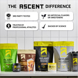 Ascent mano sosteniendo envase para comparar tamaño real