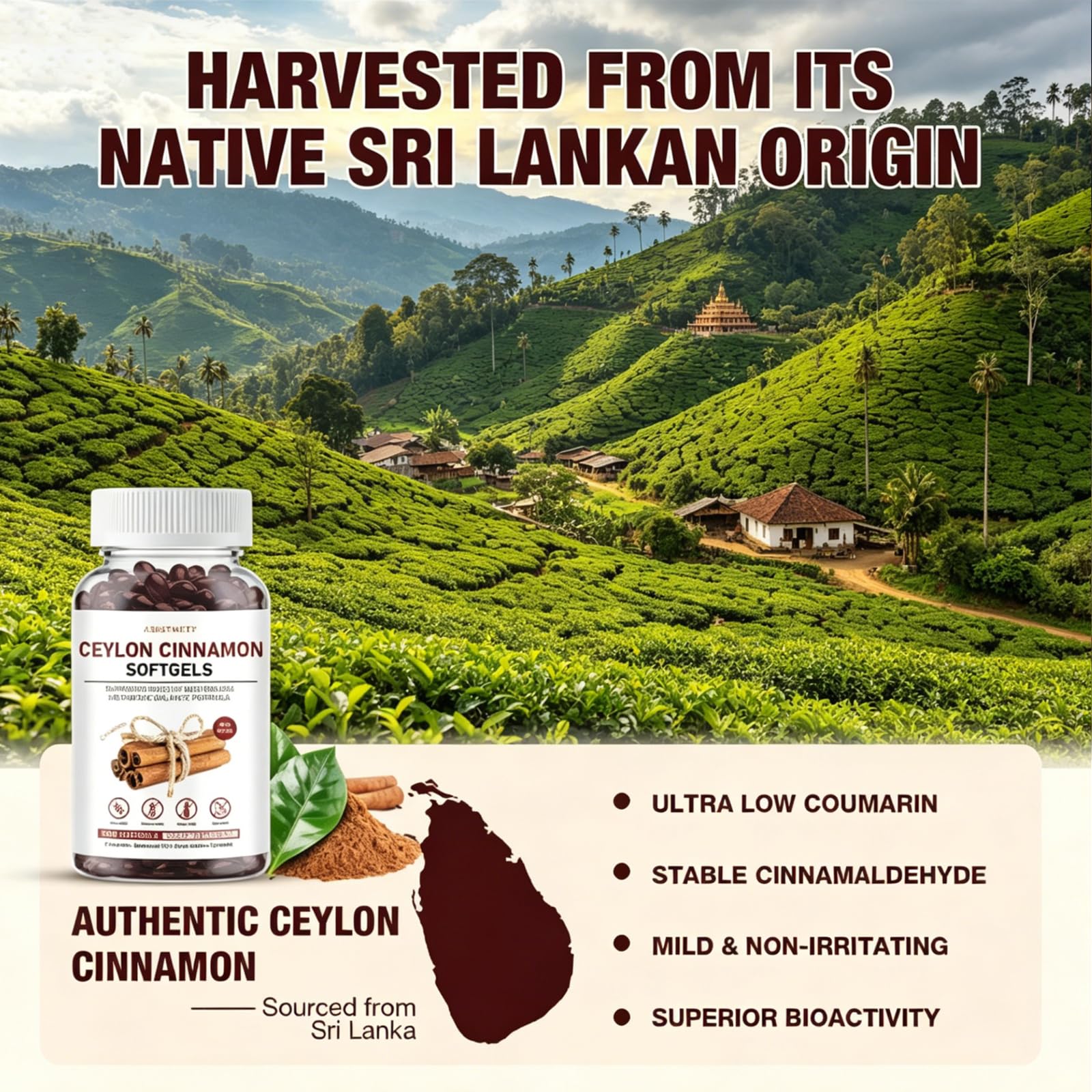 ASISTNETY etiqueta muestra origen Sri Lanka y trazabilidad garantizada