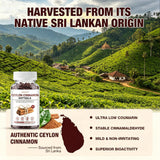 ASISTNETY etiqueta muestra origen Sri Lanka y trazabilidad garantizada