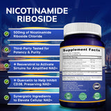 aSquared Nutrition ingredientes resveratrol y quercetina, soporte antioxidante visible