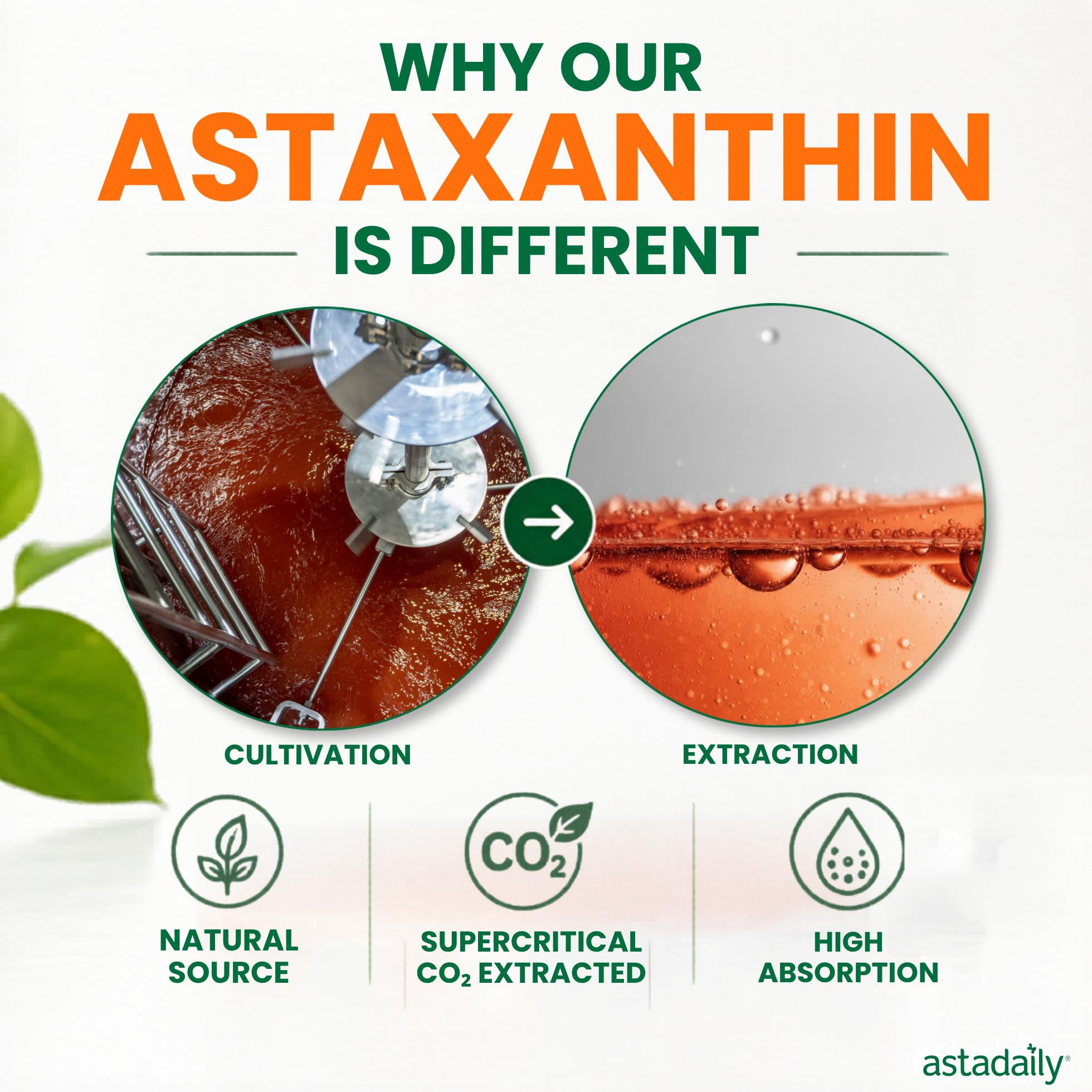 AstaDaily ambiente lifestyle que sugiere bienestar diario y conveniencia