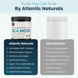 Atlantic Naturals polvo integrado en yogur para nutrición diaria