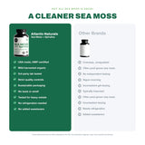 Atlantic Naturals spirulina y sea moss ilustrados para destacar su origen marino