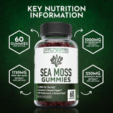 Atlantis Nutrition detalle del empaque y sello de calidad