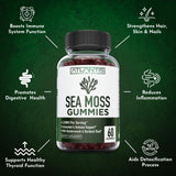 Atlantis Nutrition etiqueta legible con ingredientes y certificaciones