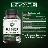 Atlantis Nutrition gomitas en mano para mostrar tamaño y porción