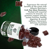 Atlantis Nutrition algas y raíces naturales que componen la fórmula