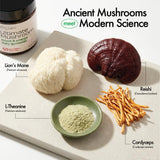 ATRx Labs ingredientes: cordyceps, lion’s mane y reishi para soporte funcional