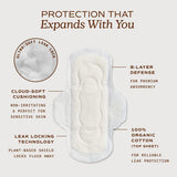 August núcleo multilayer en primer plano, absorción rápida y control de humedad