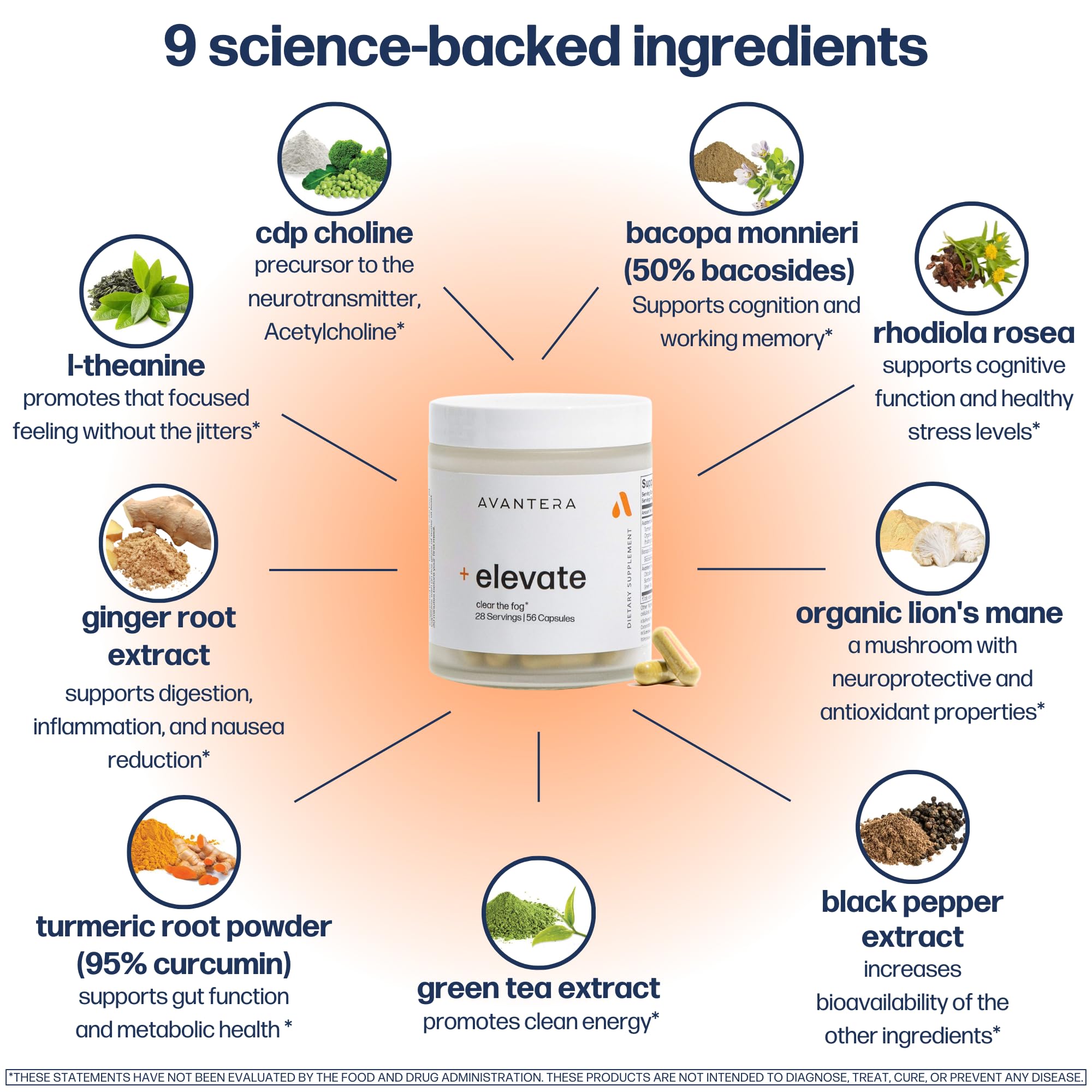 Avantera Elevate ingredientes melena-de-león y cúrcuma destacando apoyo cognitivo