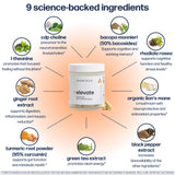 Avantera Elevate ingredientes melena-de-león y cúrcuma destacando apoyo cognitivo