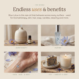 Avivni gota del aceite de loto azul en cuchara, pureza y concentración