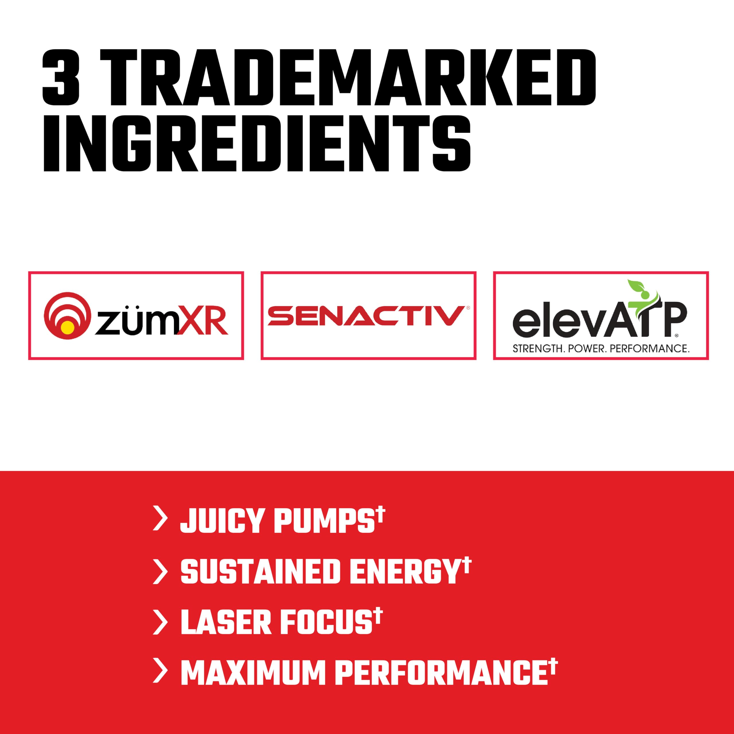Axe & Sledge Intake disuelto en vaso junto a equipo de entrenamiento para energía sostenida