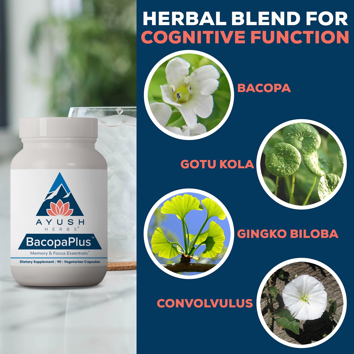 Ayush Herbs frasco en mano para comparar tamaño y cantidad de porciones