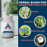 Ayush Herbs frasco en mano para comparar tamaño y cantidad de porciones