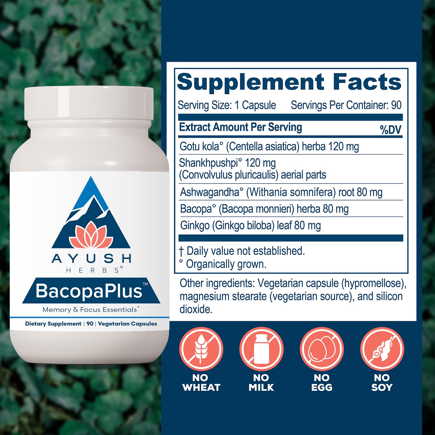 Ayush Herbs ingredientes secos bacopa y gotu kola para respaldo natural