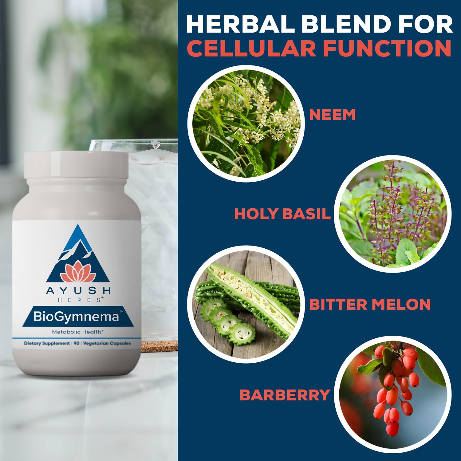 Ayush Herbs composición de ingredientes naturales destacando origen herbal