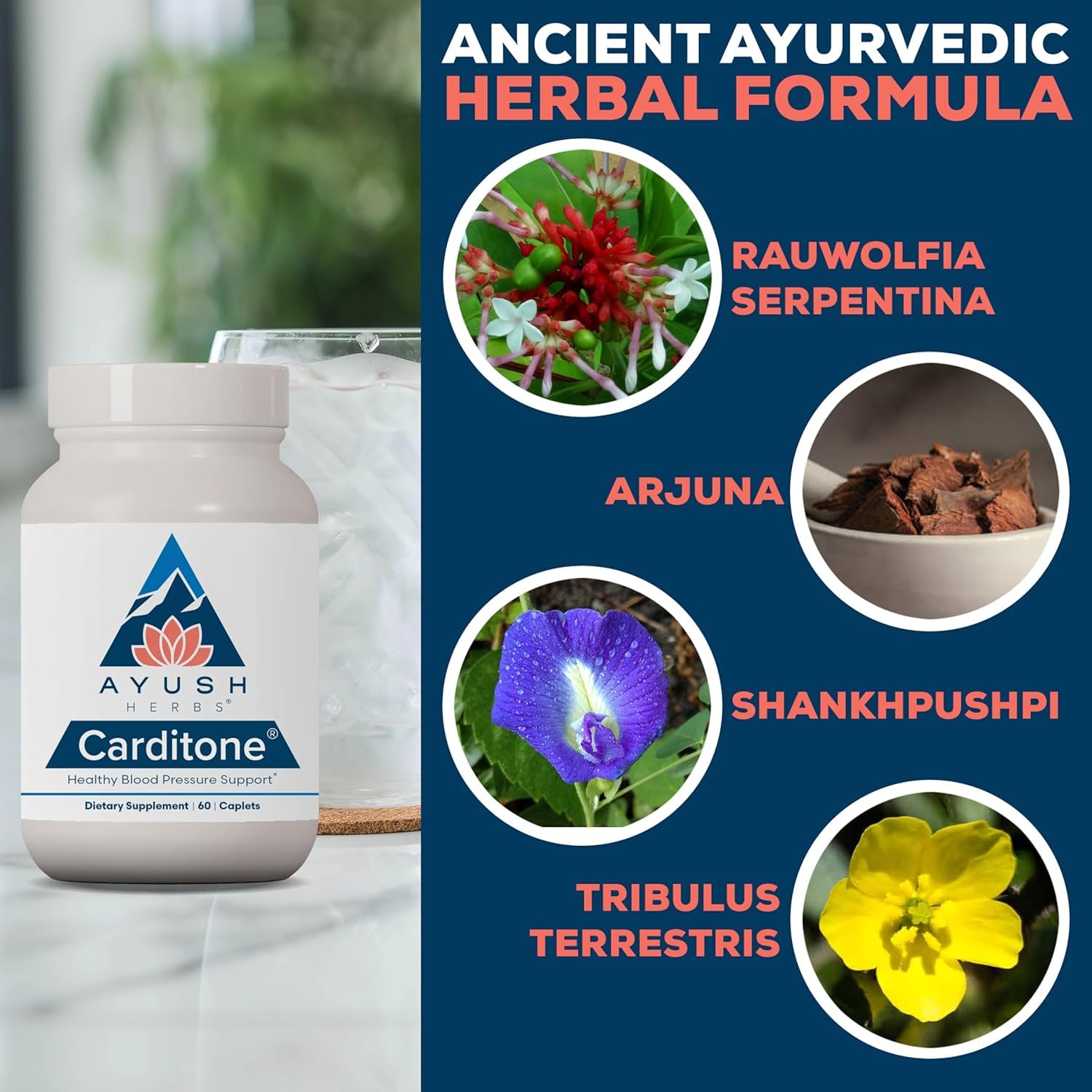 Ayush Herbs Carditone manos sosteniendo envase que sugiere confianza y uso diario