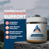 Ayush Herbs textura del polvo de cúrcuma orgánica listo para mezclar
