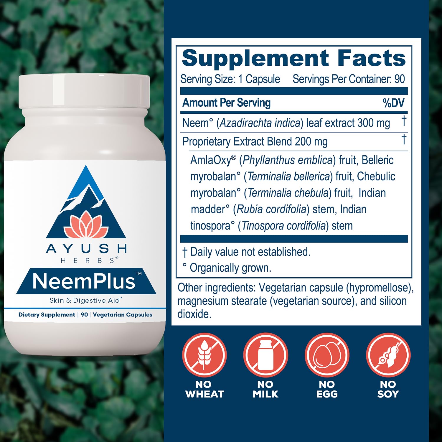Ayush Herbs Neem Plus polvo texturizado que evidencia pureza vegetal