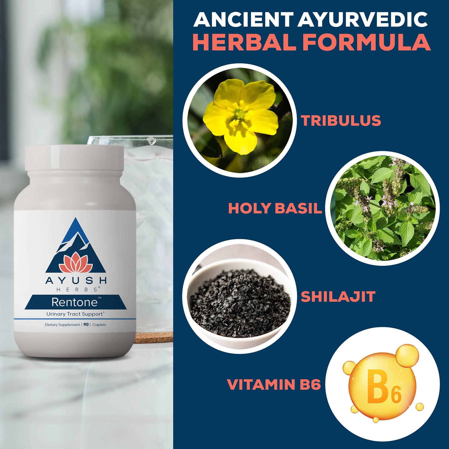 Ayush Herbs Rentone cápsula en mano para ver tamaño y facilidad de ingestión