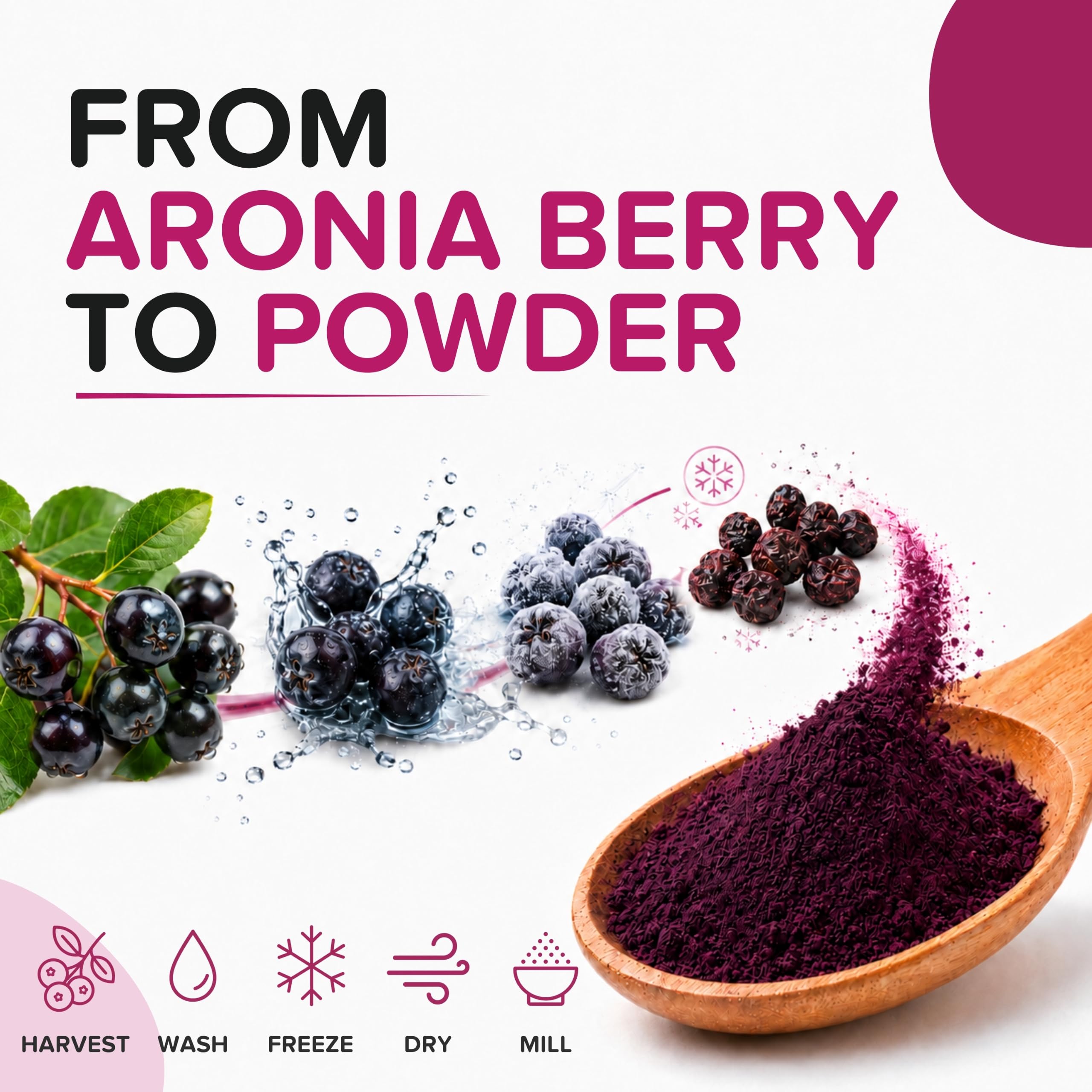 b aronia mano sosteniendo polvo enfatizando envío cómodo y puro